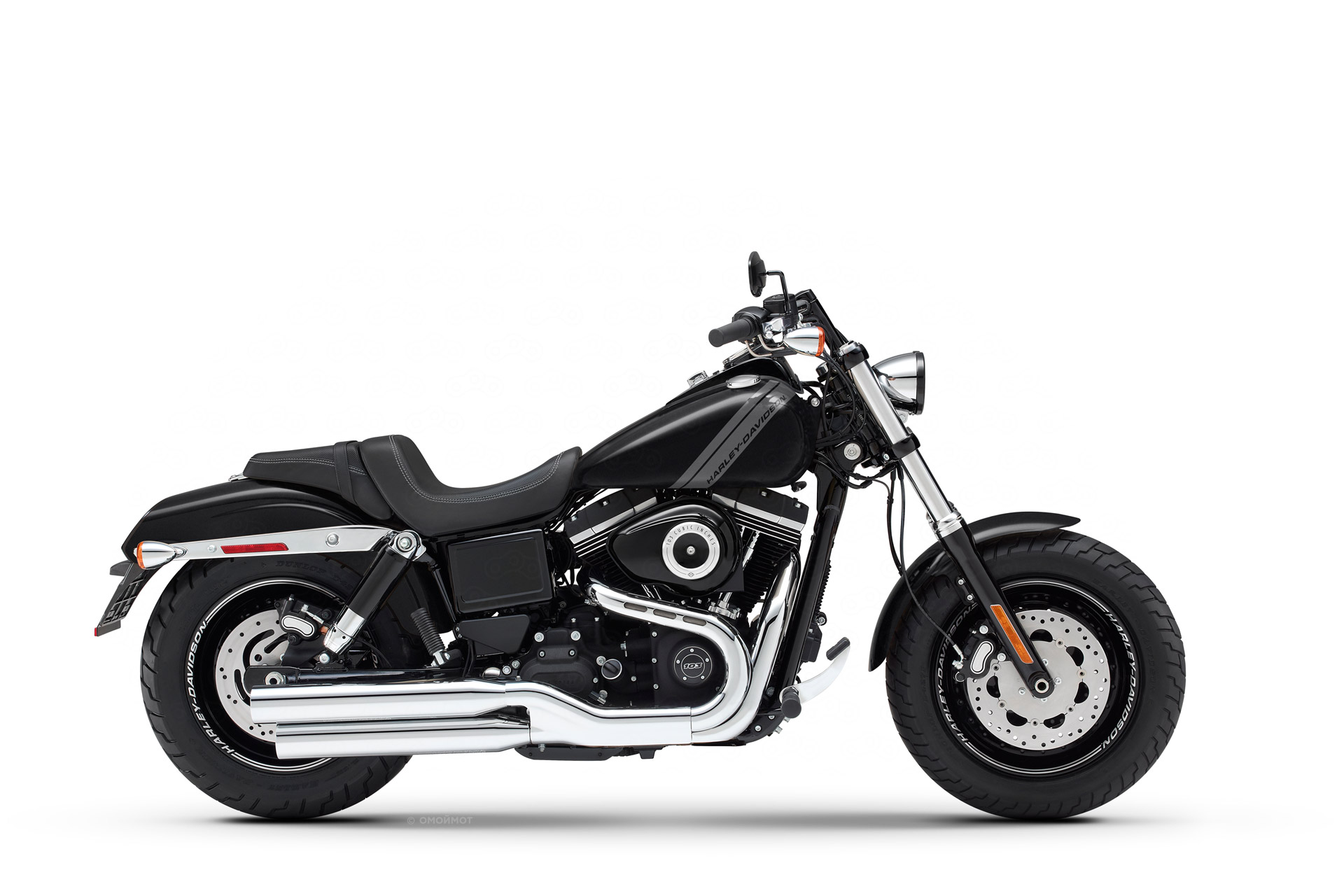 Fat Bob
