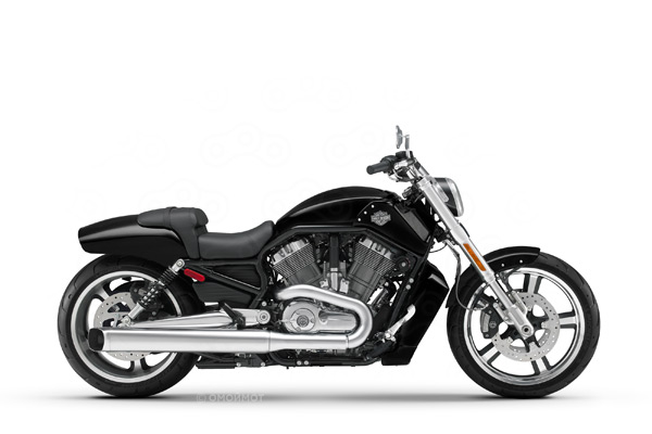V-Rod Muscle
