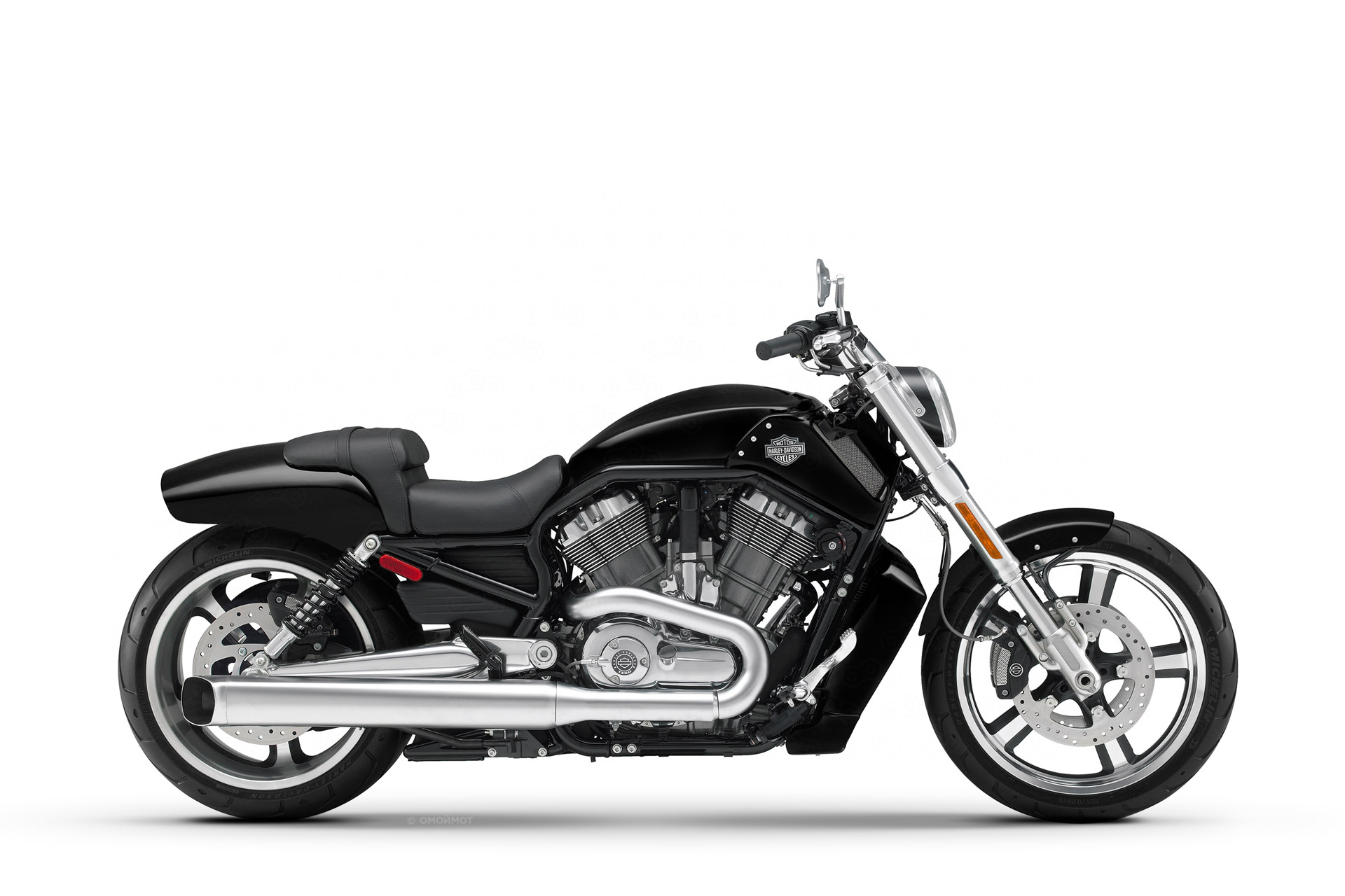 V-Rod Muscle