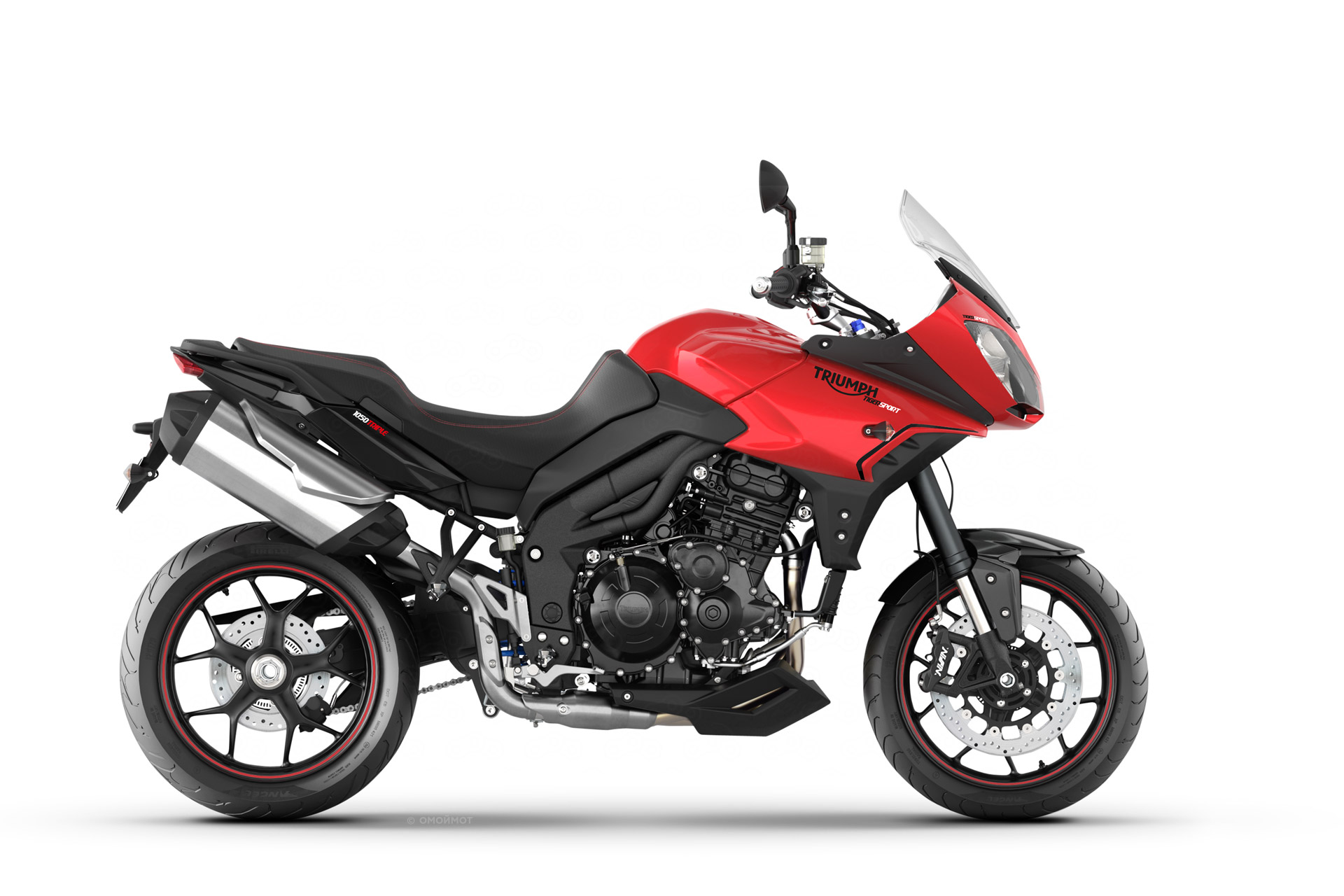 Tiger Sport