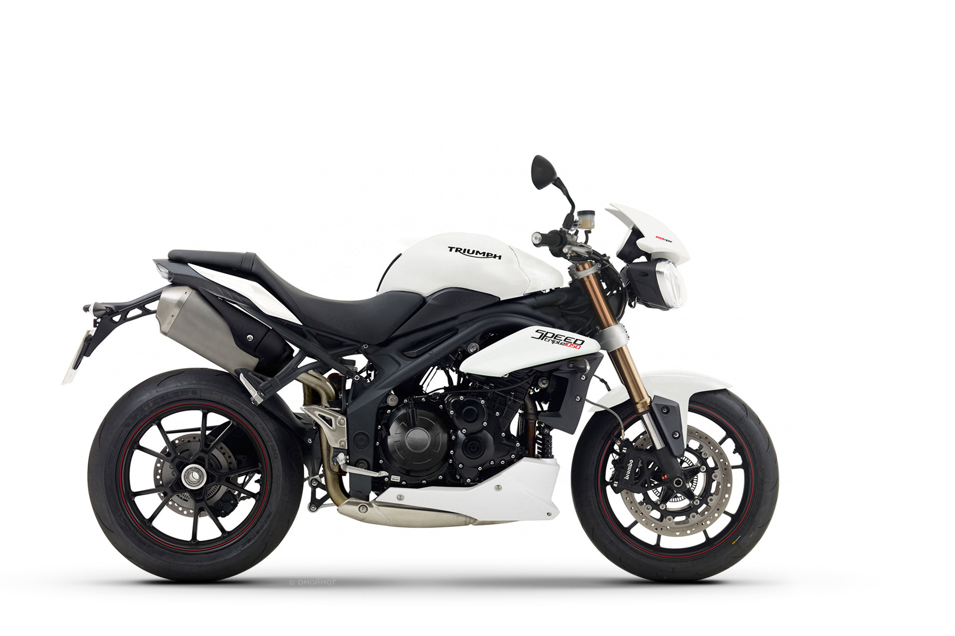 Speed Triple