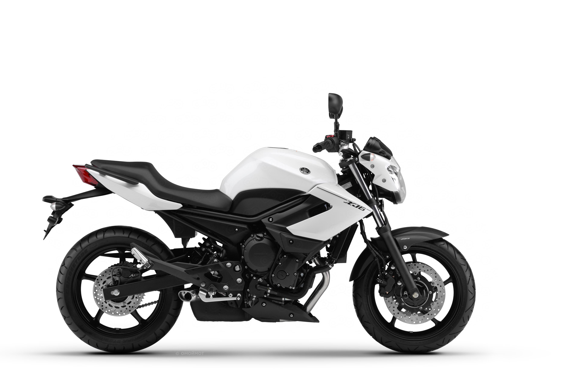 XJ6N