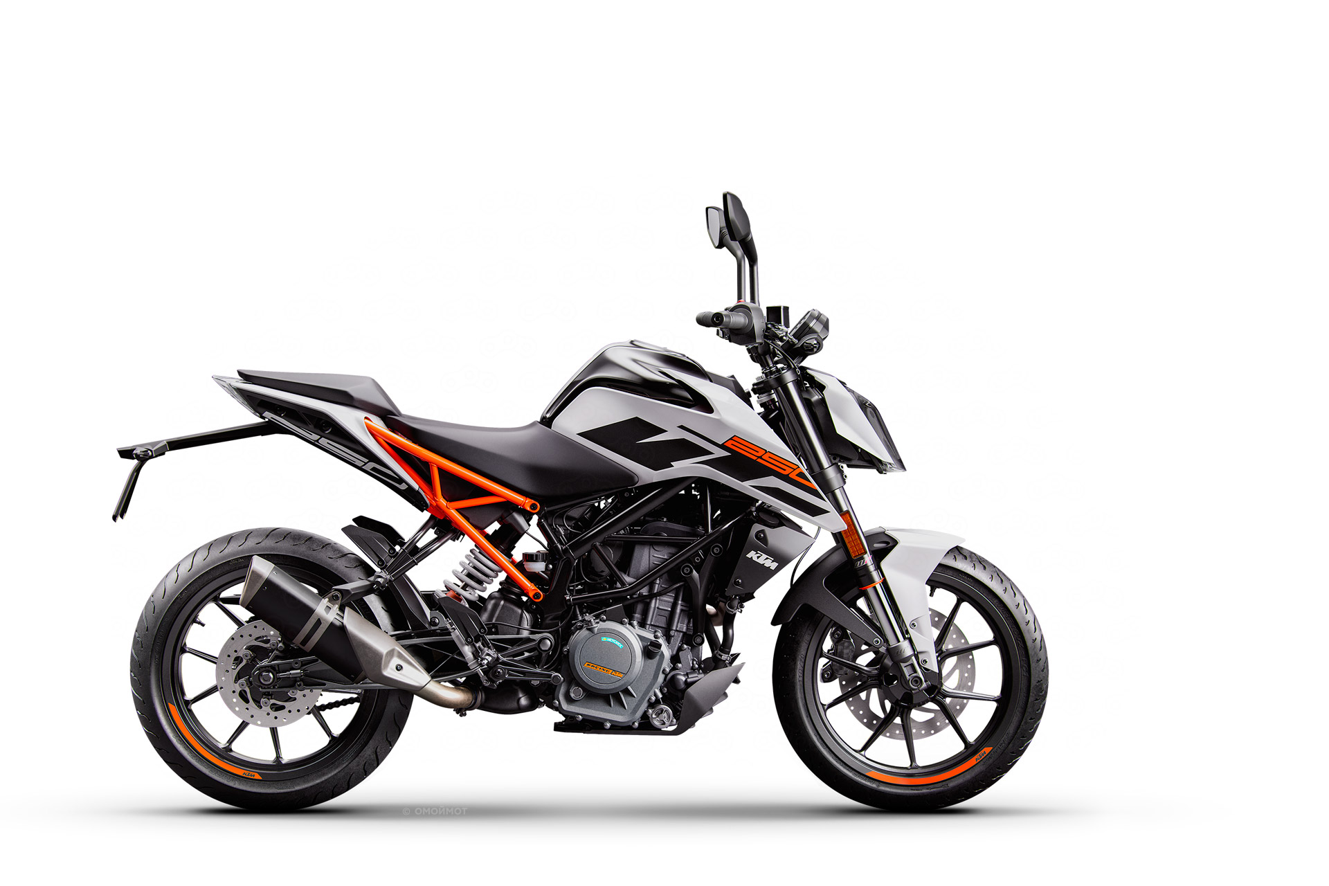 250 Duke