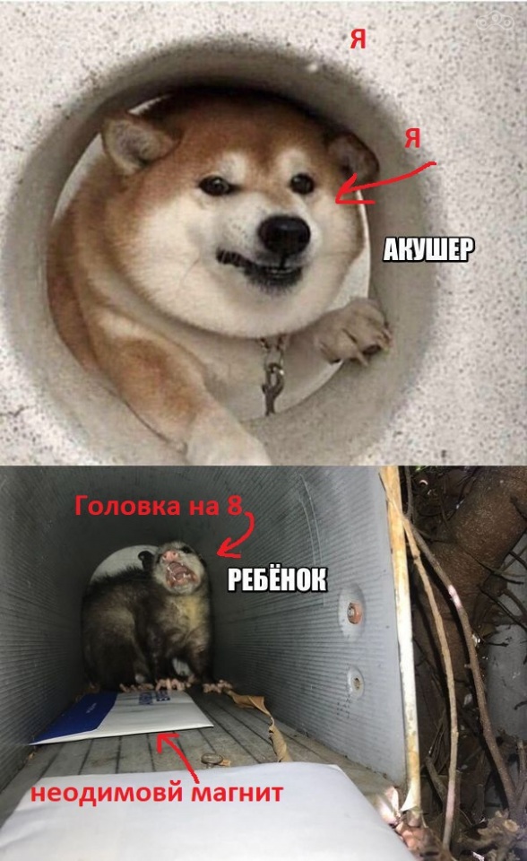 как то так