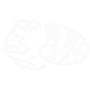 icon_psd