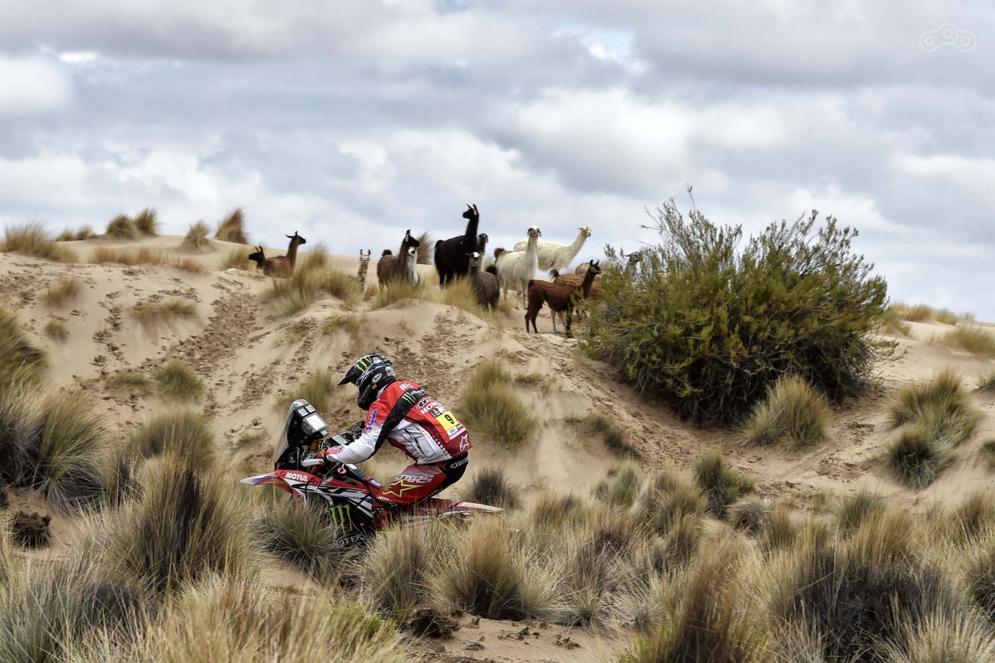 Рикии Брэбек (Ricky Brabec), победитель второго спецучастка ралли Dakar 2017
