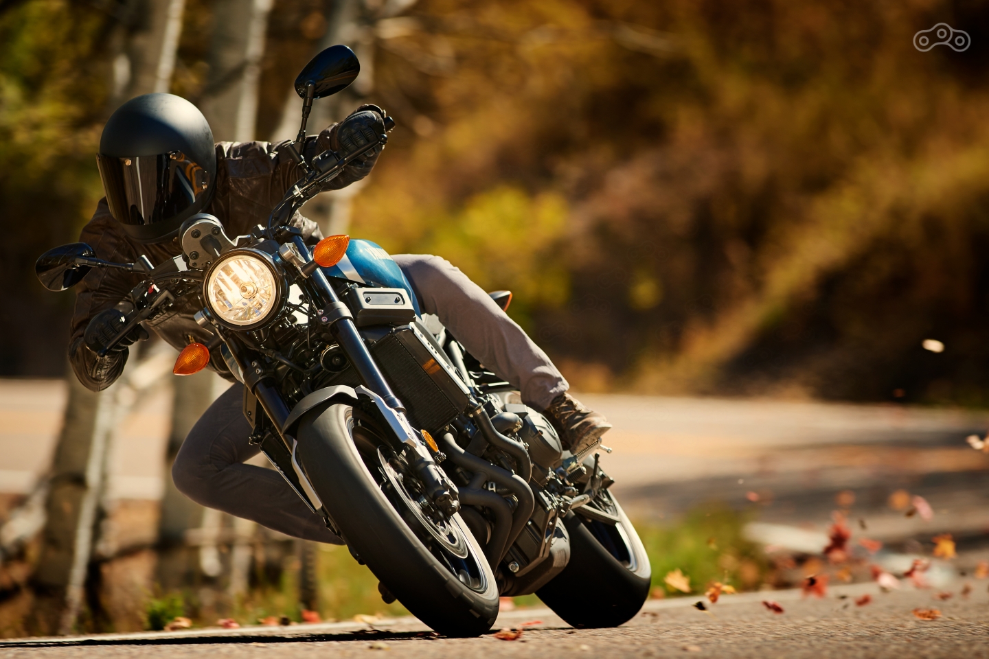 Примечательно, что прародитель XSR900, нейкед MT-09 в 2014 также был признан "лучшим из лучших" на конкурсе Red Dot